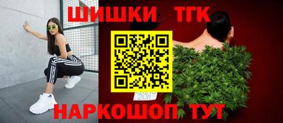 МДПВ Славгород