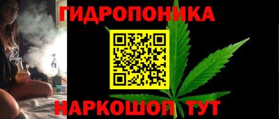 МДПВ Славгород