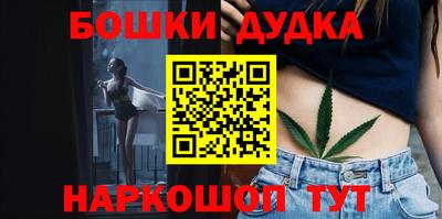 МДПВ Славгород