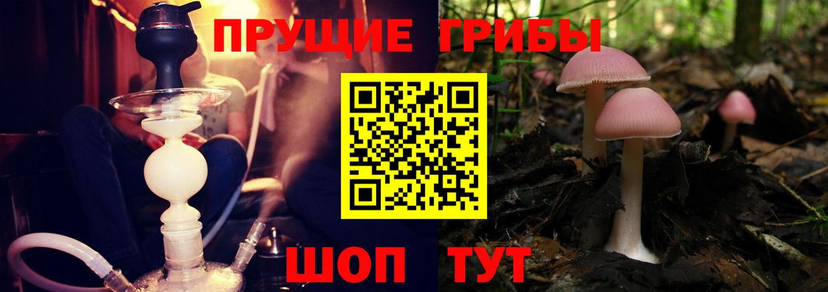 Псилоцибиновые грибы Magic Shrooms Светлоград